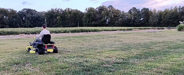 Mowing with my Ryobi ZT480e electric mower